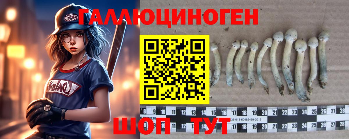 Галлюциногенные грибы MAGIC MUSHROOMS Красный Сулин